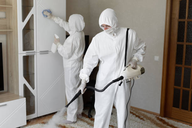 24/7 Emergency Odor Removal experts in Tyler, TX