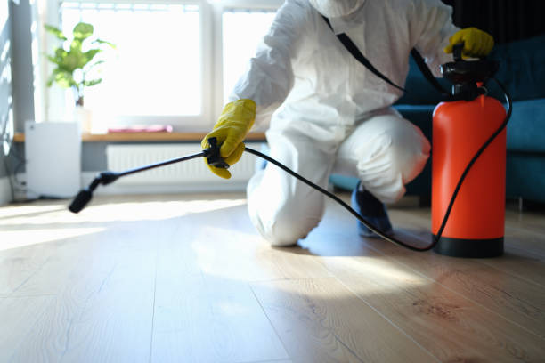 Reliable Odor Removal contractor in Tyler, TX by Trauma Clean Pros